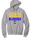 CHAMPION GREY HOODIE