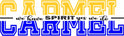 Translation missing: en.Say it with Spirit accessibility.home
