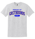 Ash Grey Unisex T-shirt