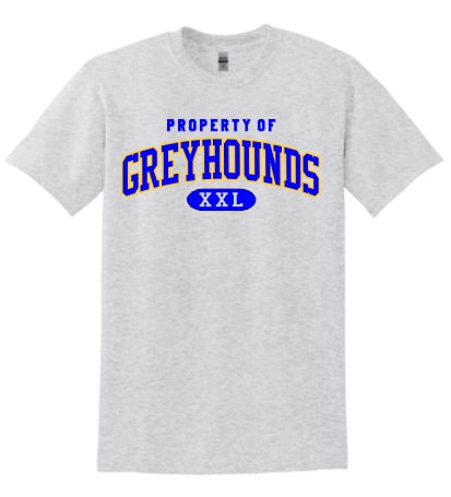 Ash Grey Unisex T-shirt