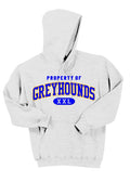 Ash Grey Unisex Hoodie